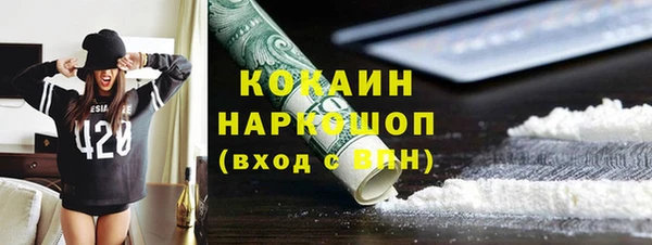 хмурый Алексин