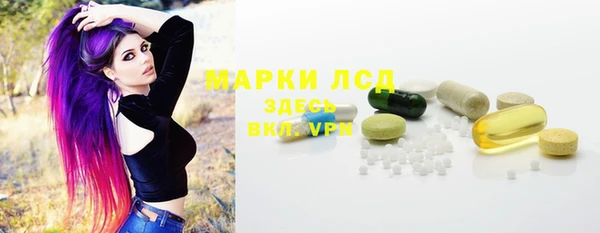 хмурый Алексин