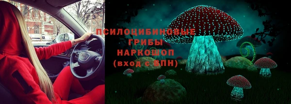 дживик Алзамай