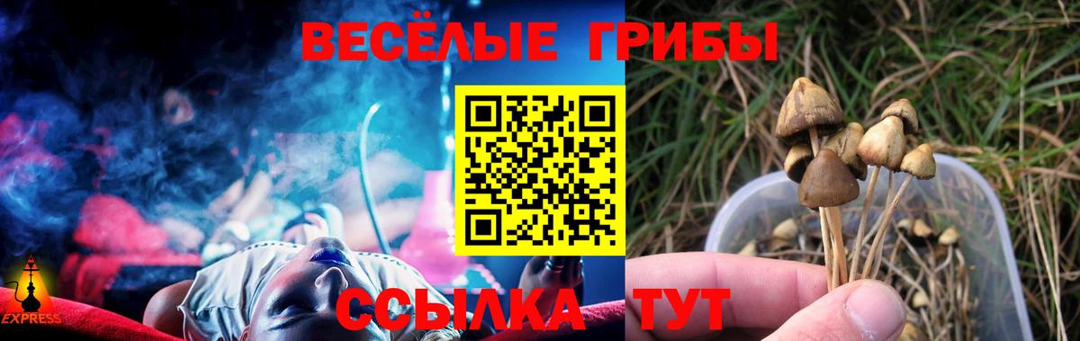 Галлюциногенные грибы Cubensis  Псилоцибиновые грибы мицелий  Вход с VPN  Ступино 