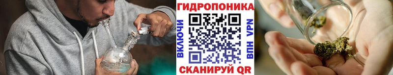 наркотики  блэк спрут маркетплейс  МАРИХУАНА семена  Ступино 
